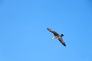 引きこもりの定義・原因は？ニートやフリーターとはどう違うのか