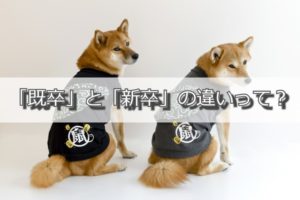 既卒と新卒の違いはなに？既卒と新卒の3つの違いを知って効率よく就職成功