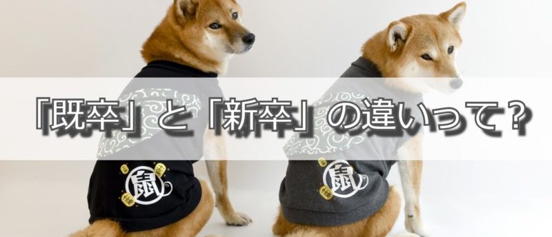 既卒と新卒の違いを知り効率良く就活を。既卒ならではのメリット3つも解説