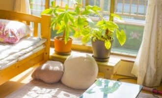 新卒で一人暮らしはきつい？一人暮らし可能な手取りの目安＆貯金する方法