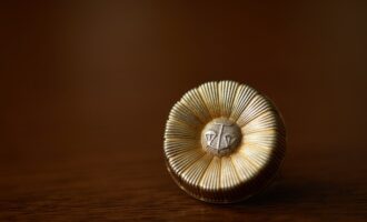 残業代の未払いを弁護士に相談するメリット・デメリットから費用まで